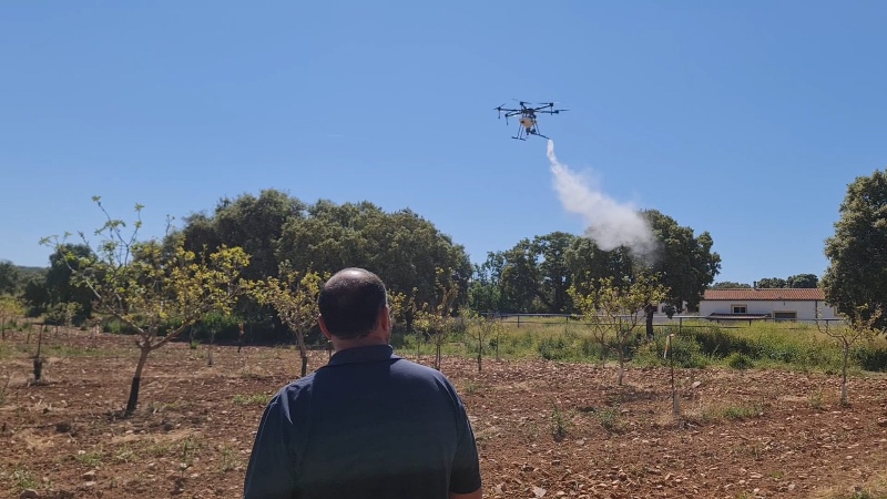 aplicación polen con dron en pistacho