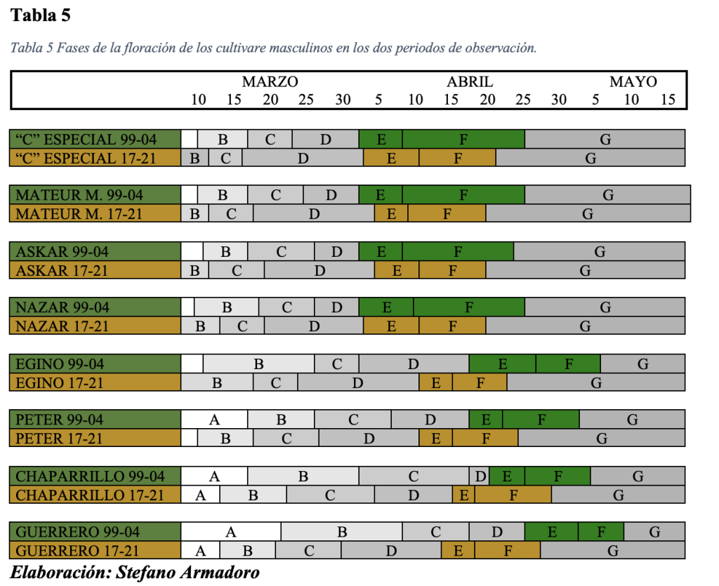 Fases de la floración de los cultivare masculinos Fases de la floración de los cultivare masculinos