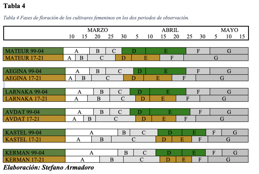 Fases de floración de los cultivares femeninos